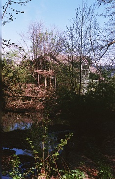 field's creek pond